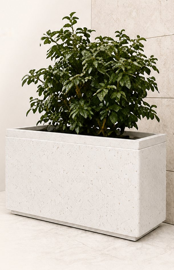 Terra classic rectangular planter in white stone finish